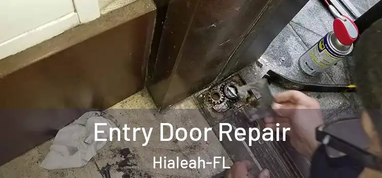  Entry Door Repair Hialeah-FL